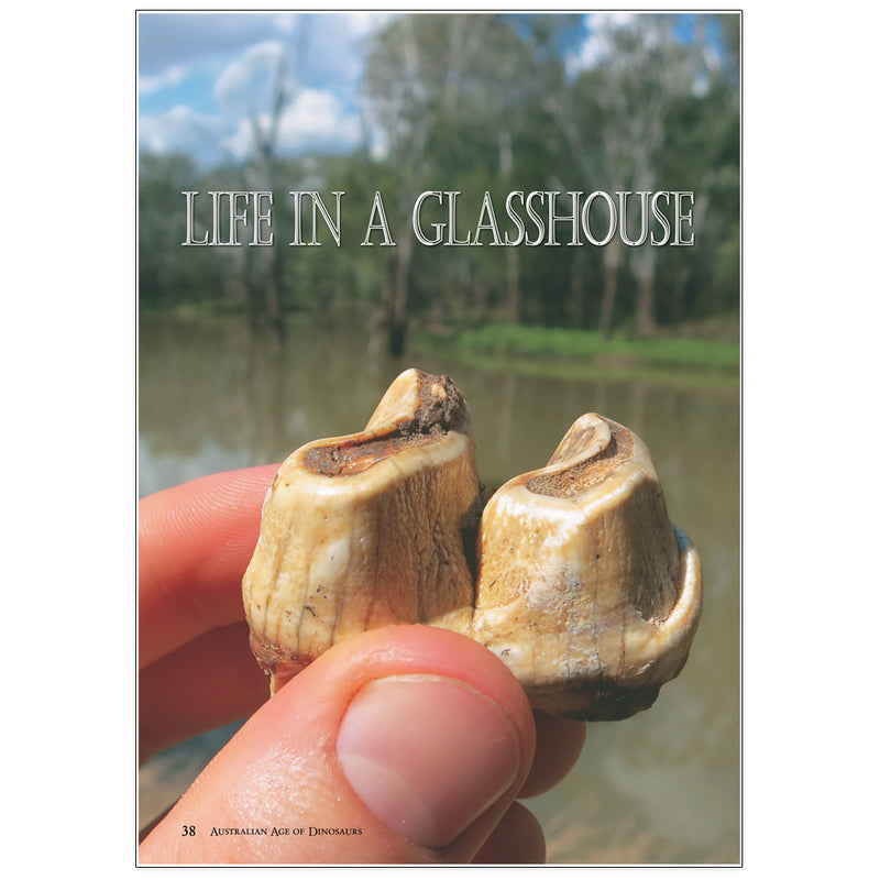 Life in a glasshouse: The Pliocene deposits of Chinchilla by Dr Julien Louys and Joanne Wilkinson