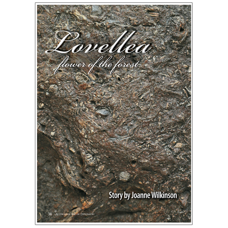 "Lovellea": Flower of the forest by Joanne Wilkinson