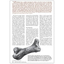 Mihirungs: The giant flightless birds of ancient Australia by Dr Stephen Poropat