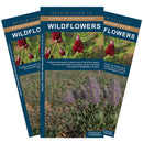 Wildflowers: A folding pocket guide