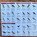 Winton Birds: A folding pocket guide