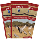 Winton Birds: A folding pocket guide