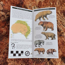 Megafauna: A folding pocket guide