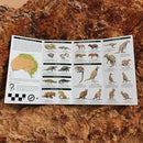 Megafauna: A folding pocket guide