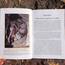 Tunnels in Time: The discovery, ecology and extinction of Australia's marsupial megafauna by Lyndall Dawson