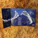 Constellations: A folding pocket guide