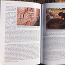 Tunnels in Time: The discovery, ecology and extinction of Australia's marsupial megafauna by Lyndall Dawson