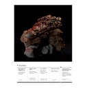 AAOD Journal, Issue 19 (2022)