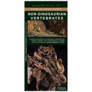 Non-Dinosaurian vertebrates: A folding pocket guide