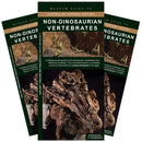 Non-Dinosaurian vertebrates: A folding pocket guide