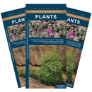 Winton plants: A folding pocket guide