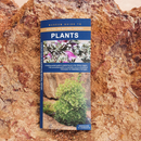 Winton plants: A folding pocket guide