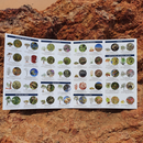 Winton plants: A folding pocket guide