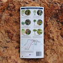 Winton plants: A folding pocket guide