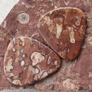 Collectible Archaeocyatha guitar picks