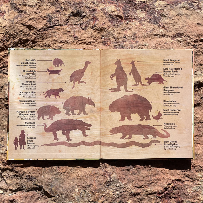 Mega! A new picture book celebrating Australia's megafauna