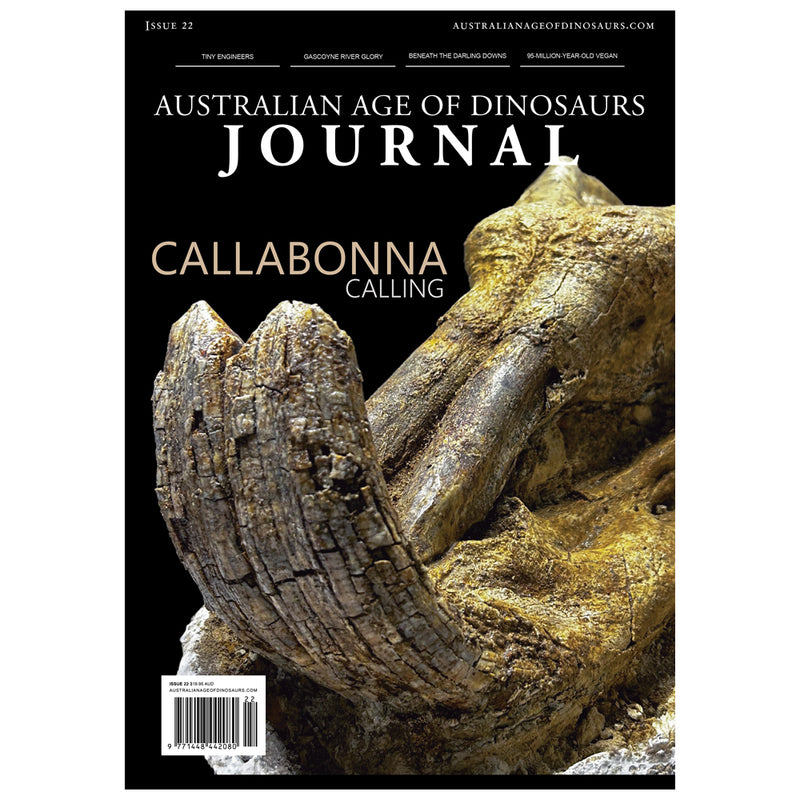 AAOD Journal, Issue 22 (2025)