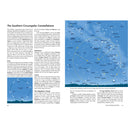 2026 Guide to the Night Sky Southern Hemisphere