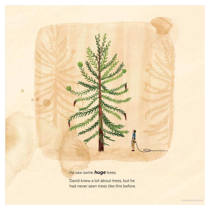 Wollemi: Saving a Dinosaur Tree