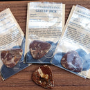 Collectible Archaeocyatha guitar picks