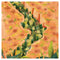 Wollemi: Saving a Dinosaur Tree