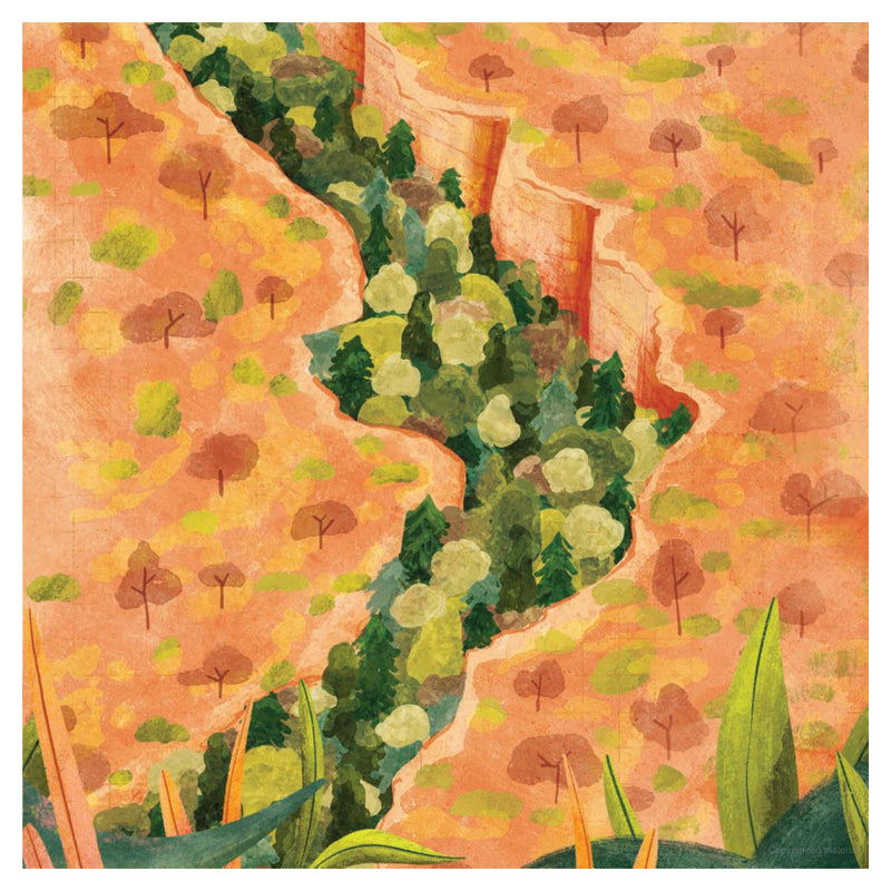 Wollemi: Saving a Dinosaur Tree
