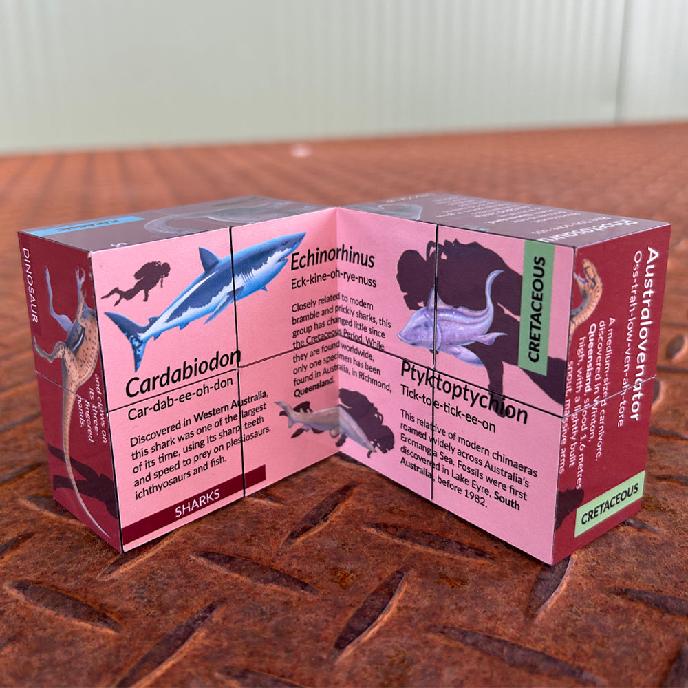 Australian natural history foldable cube – Australian Age of Dinosaurs ...
