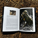 The Secret Lives of Dinosaurs: Unearthing the Real Behaviors of Prehistoric Animals