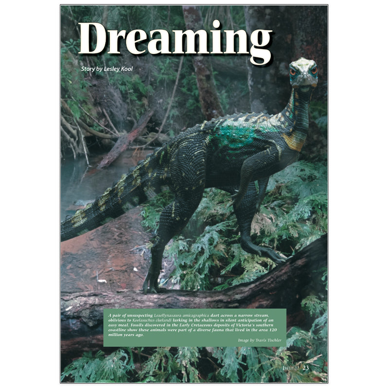 Dinosaur Dreaming by Lesley Kool
