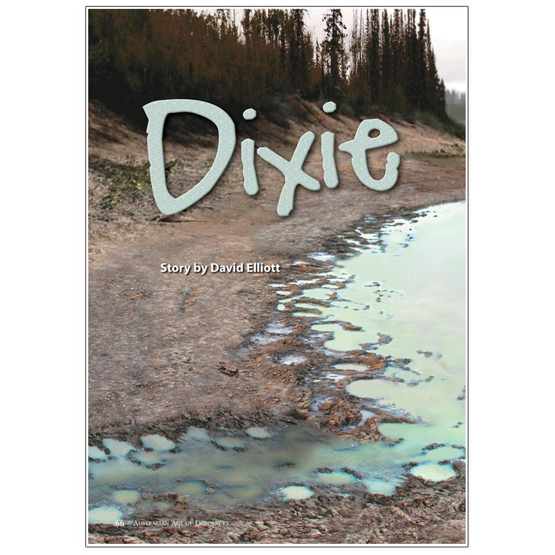Dixie by David Elliott