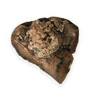 Australian fossil crab ("Lignihomola etheridgei")