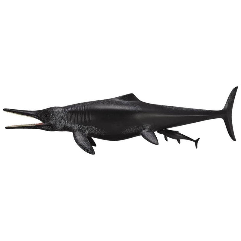 Ichthyosaur