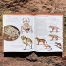 The Short Tragic Life of Leo the Marsupial Lion
