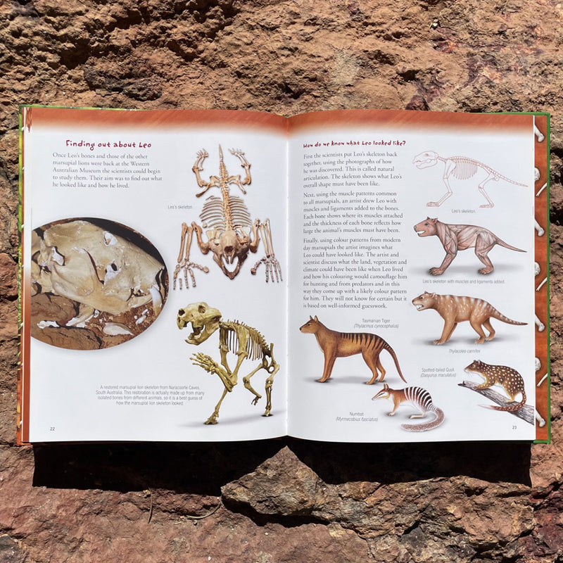 The Short Tragic Life of Leo the Marsupial Lion