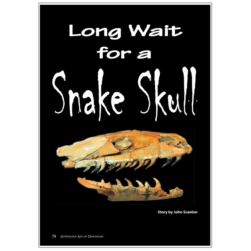 Long wait for a snake skull by Dr John Scanlon 