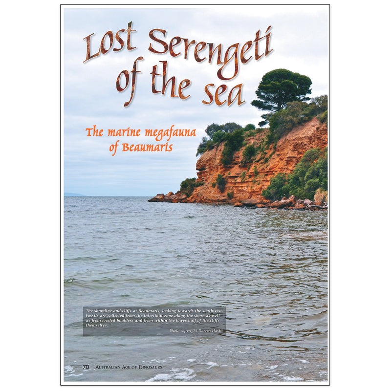 Lost Serengeti of the sea: The marine megafauna of Beaumaris by Dr Erich Fitzgerald