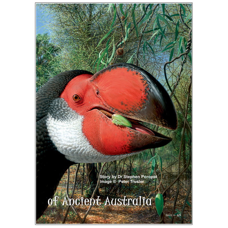 Mihirungs: The giant flightless birds of ancient Australia by Dr Stephen Poropat