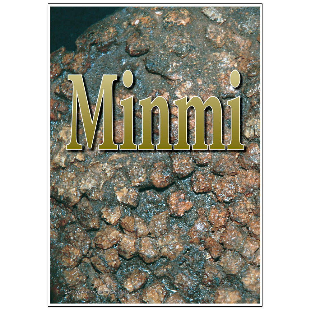 Min Mi