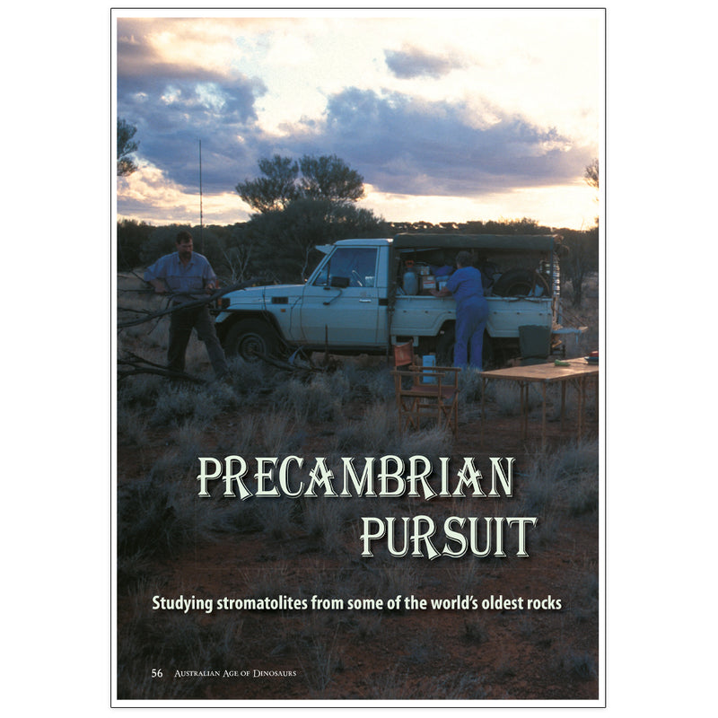 Precambrian pursuit: Studying stromatolites from some of the world's oldest rocks by Mark Stevens