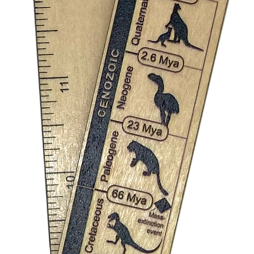 Australian history ruler – Australian Age of Dinosaurs Museum Shop