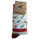 Dinosaur socks