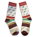 Dinosaur socks