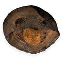 Australian fossil crab ("Torynomma quadrata")