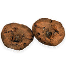 Australian fossil crab ("Torynomma quadrata")