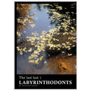 The last last Labrinthodonts by Dr Anne Warren