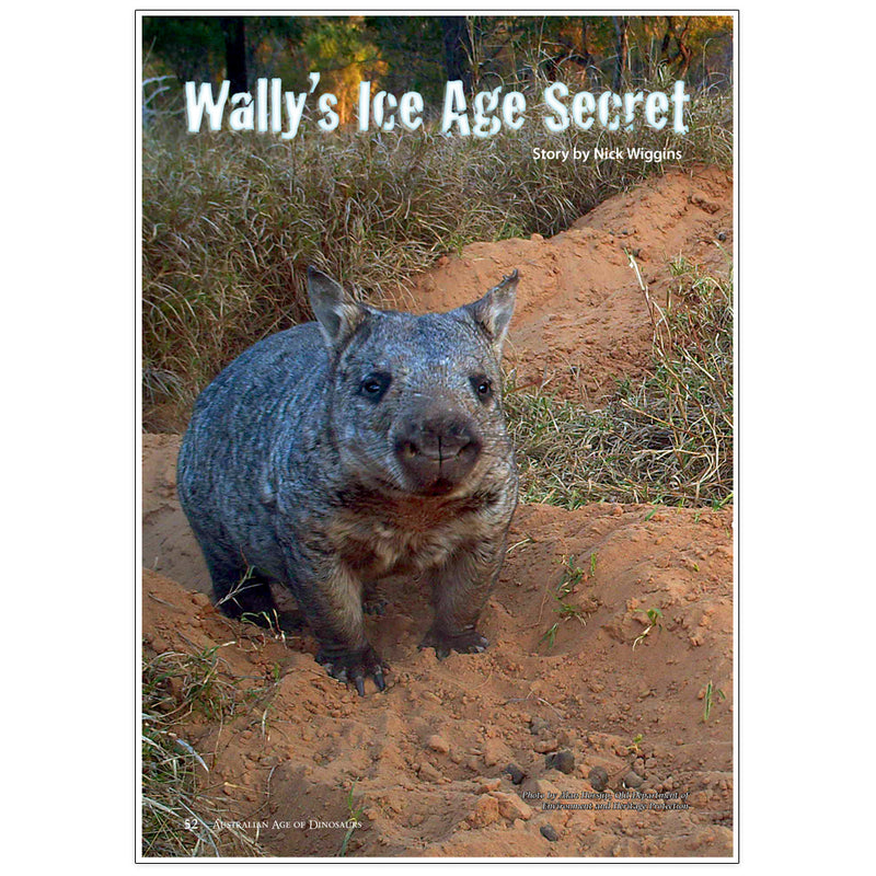 Wally's Ice Age Secret by Nick Wiggins