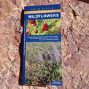 Wildflowers: A folding pocket guide
