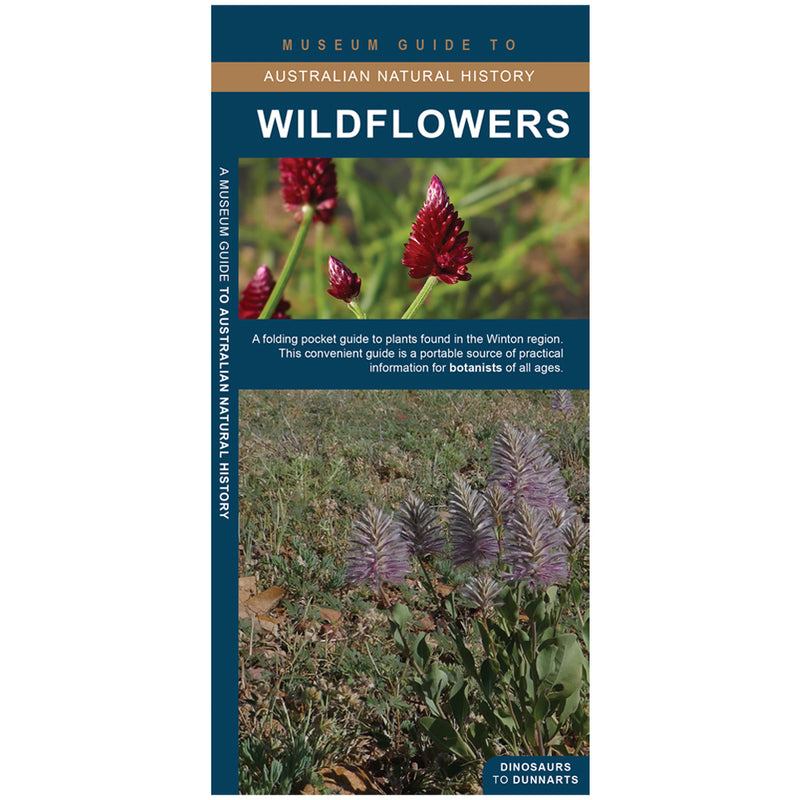 Wildflowers: A folding pocket guide