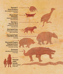 Mega! A new picture book celebrating Australia's megafauna