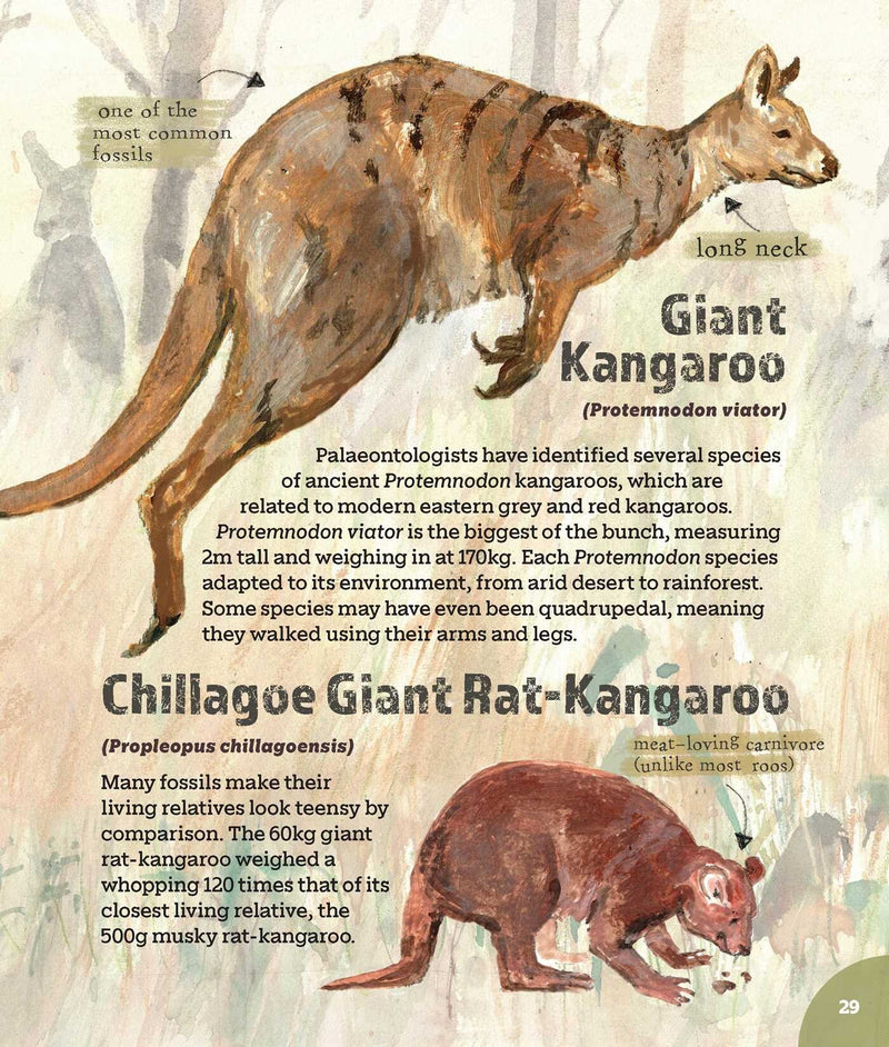 Mega! A new picture book celebrating Australia's megafauna